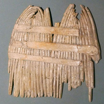 The Stone Ages: Neolithic Head lIce and Nit Comb